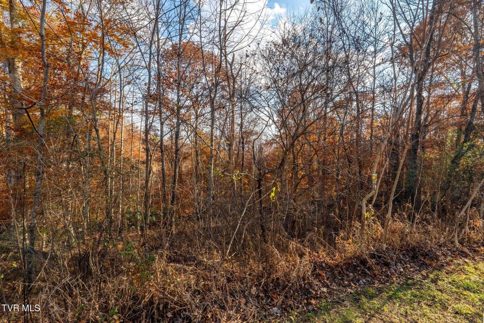 Photo #23: Lot 51 Redbud Circle