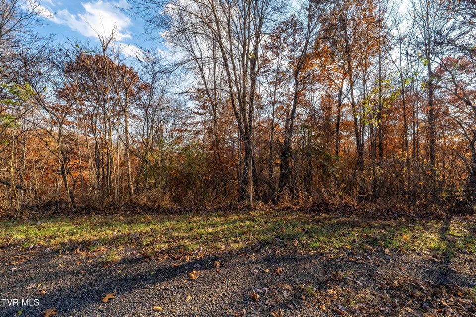 Photo #24: Lot 51 Redbud Circle