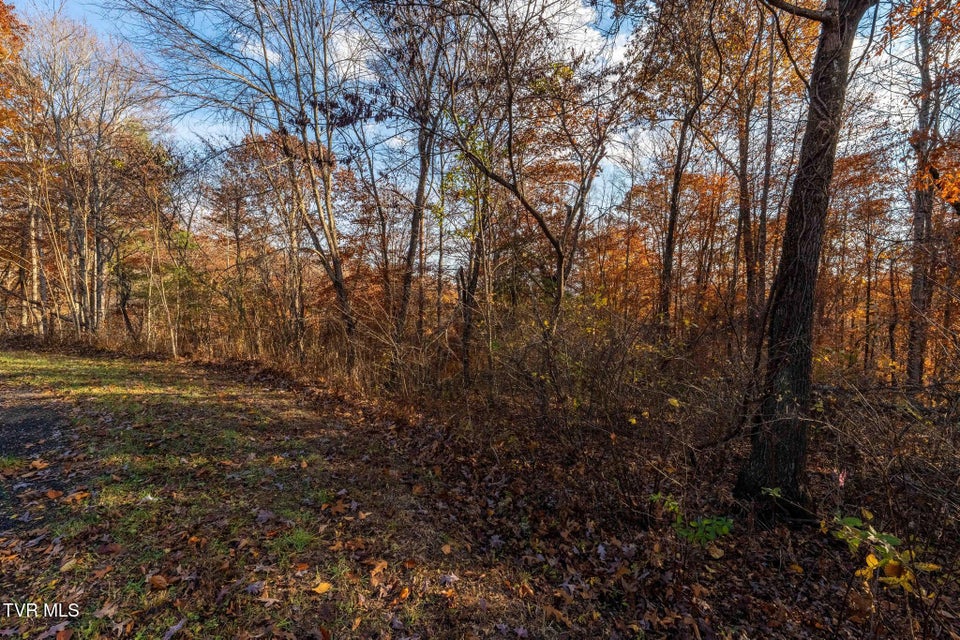 Photo #25: Lot 51 Redbud Circle