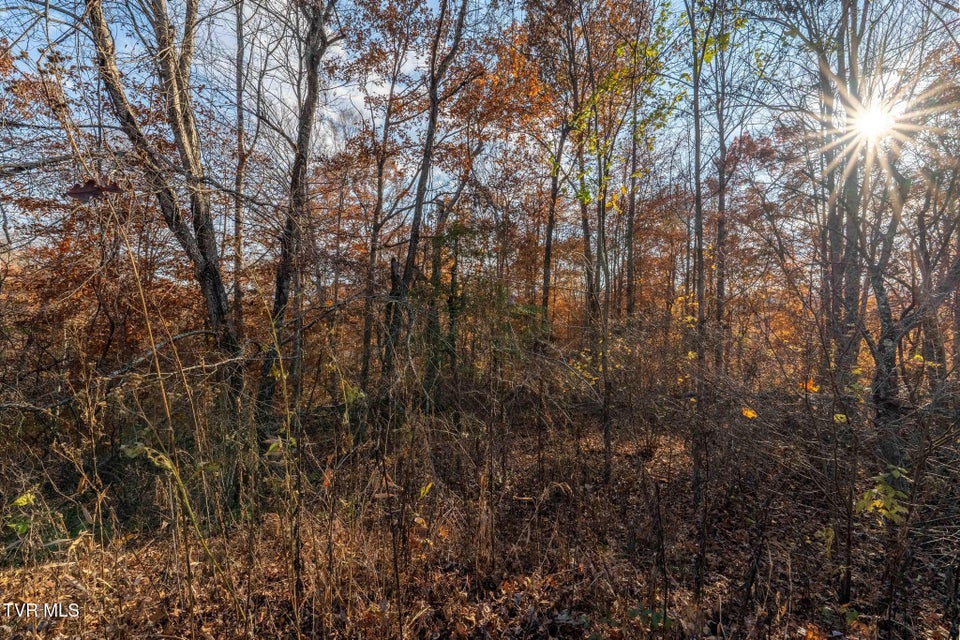 Photo #26: Lot 51 Redbud Circle