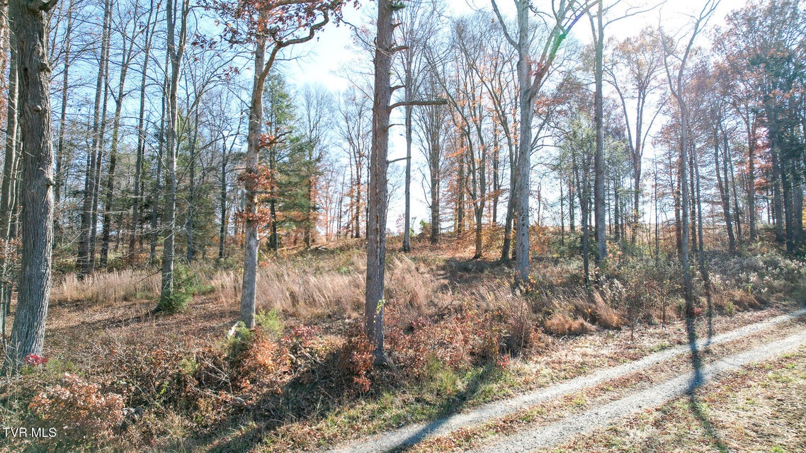 Photo #12: 190 Treadway Rd 