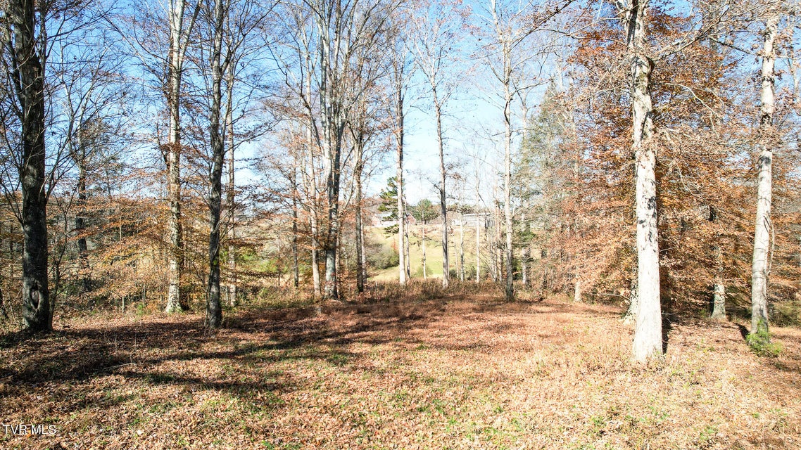 Photo #15: 190 Treadway Rd 