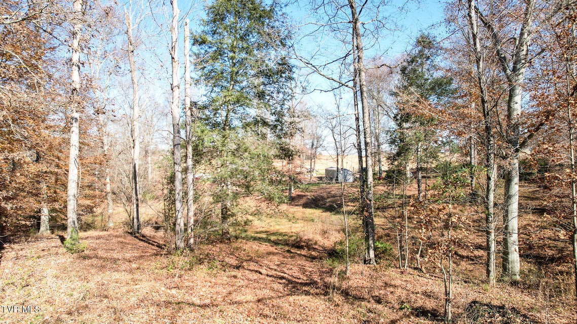 Photo #16: 190 Treadway Rd 