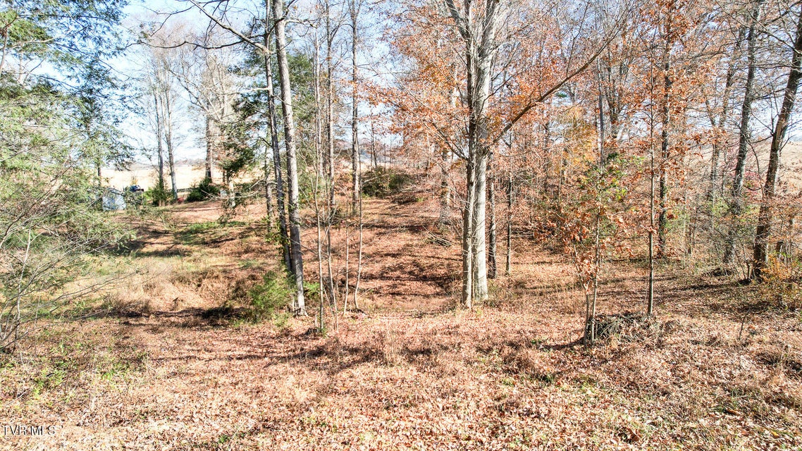 Photo #17: 190 Treadway Rd 