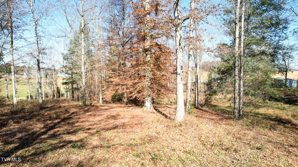 Photo #18: 190 Treadway Rd 