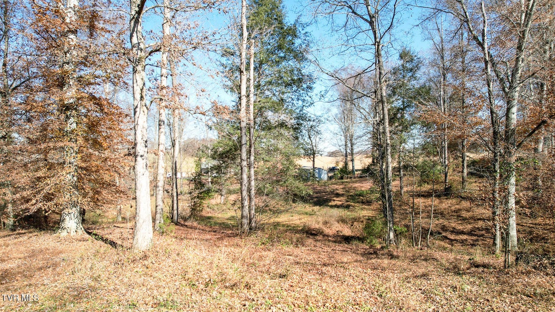 Photo #19: 190 Treadway Rd 