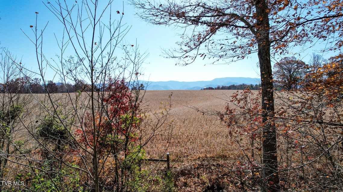 Photo #8: 190 Treadway Rd 