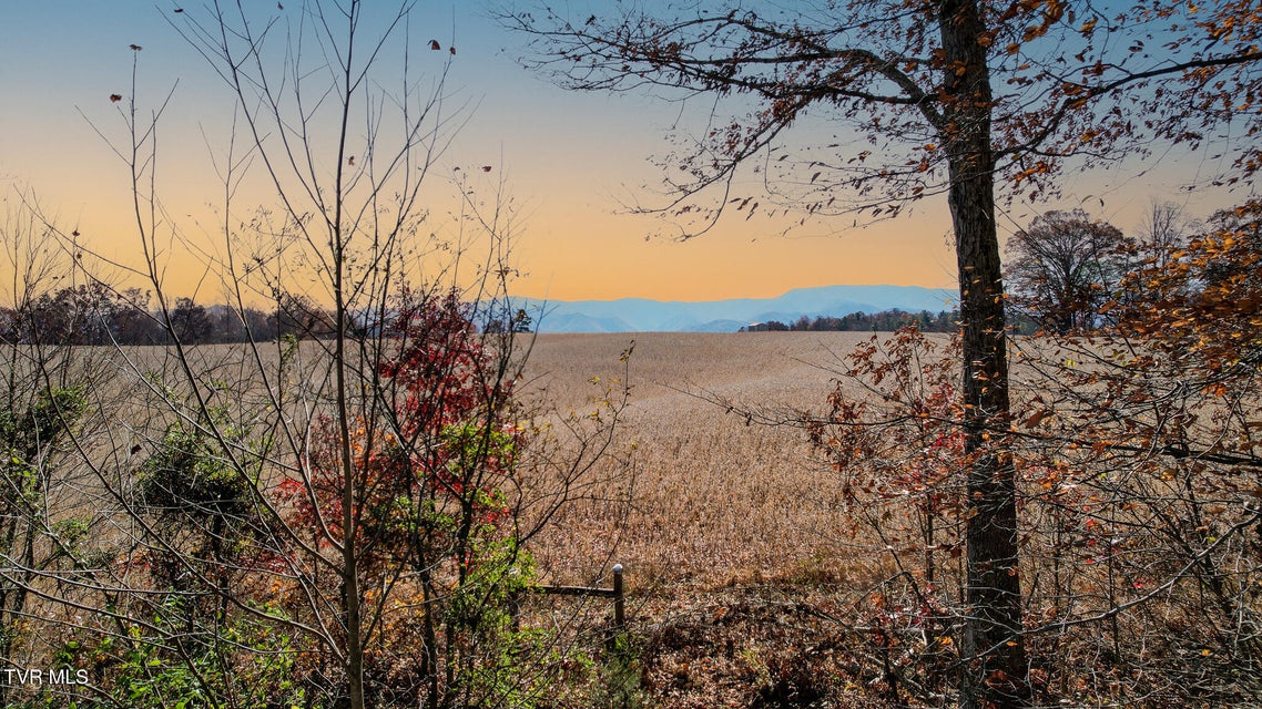 Photo #20: 190 Treadway Rd 