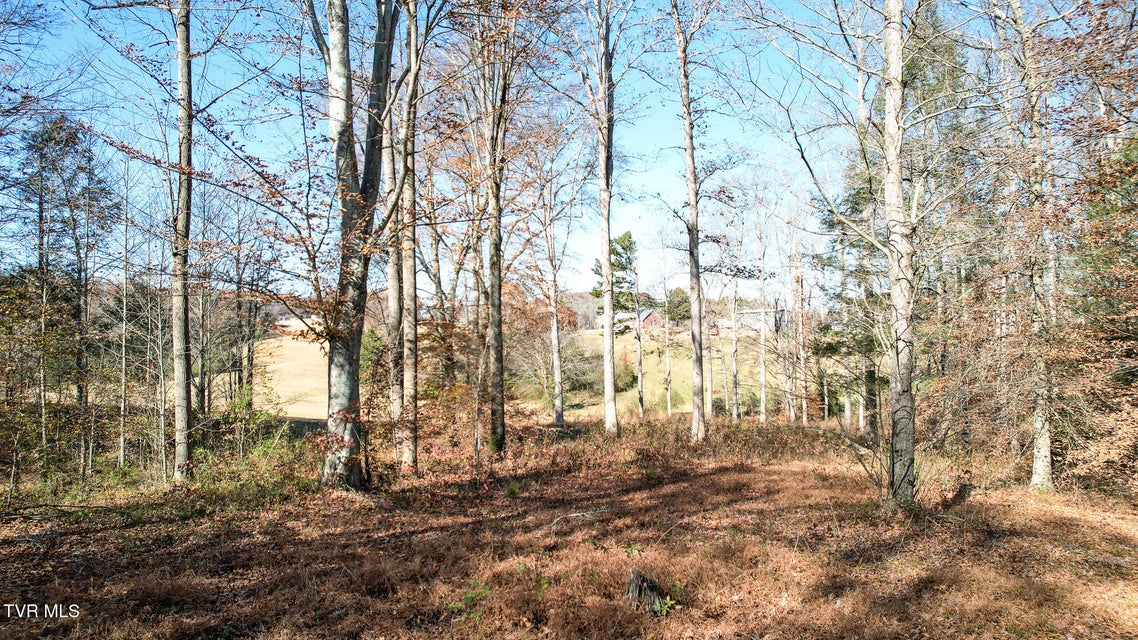 Photo #21: 190 Treadway Rd 