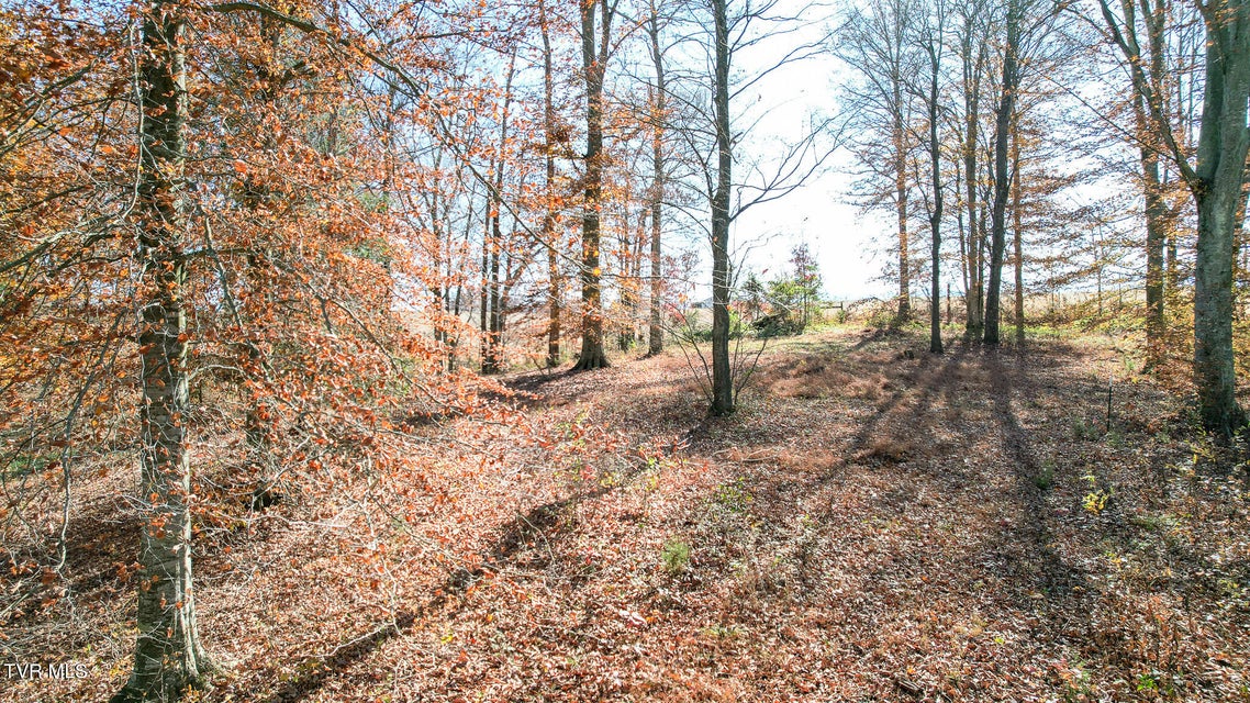 Photo #22: 190 Treadway Rd 