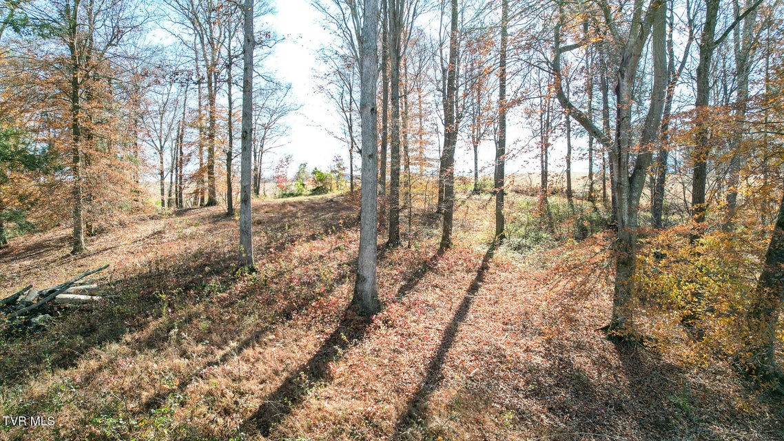 Photo #6: 190 Treadway Rd 