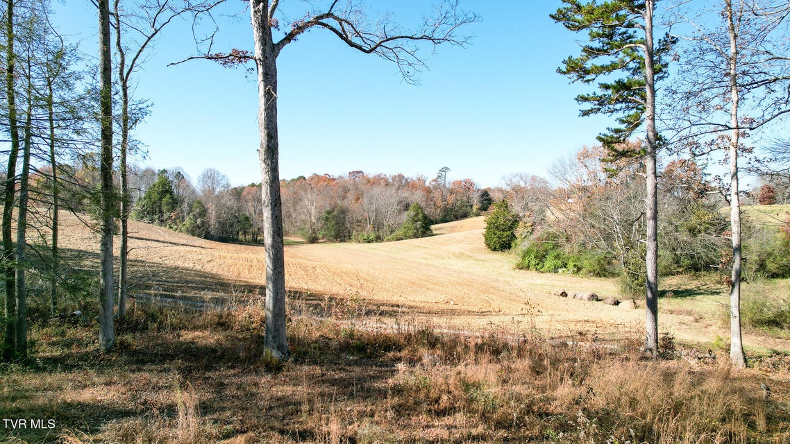 Photo #24: 190 Treadway Rd 