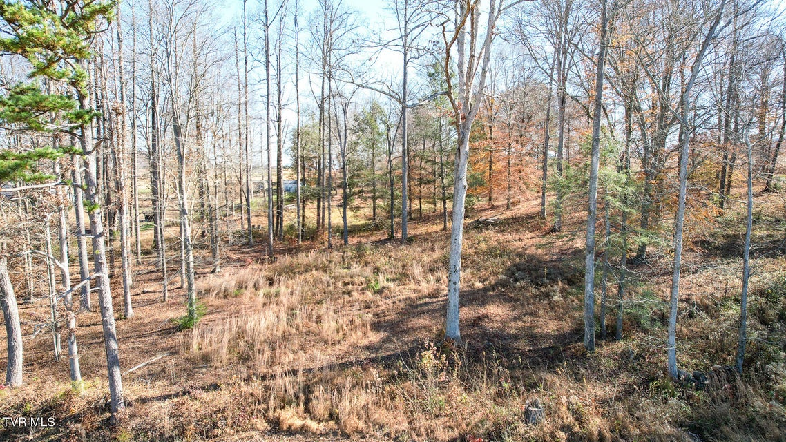 Photo #25: 190 Treadway Rd 