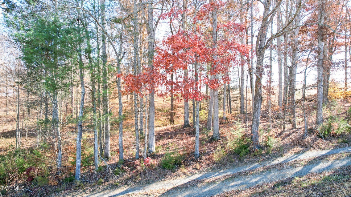 Photo #26: 190 Treadway Rd 