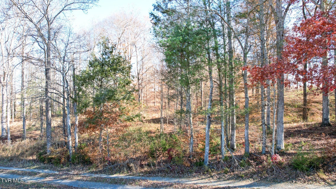 Photo #27: 190 Treadway Rd 