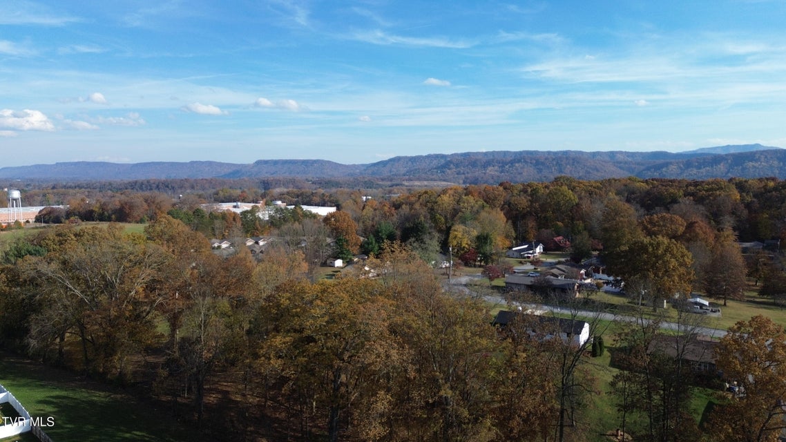 Photo #35: 220 Crockett Drive