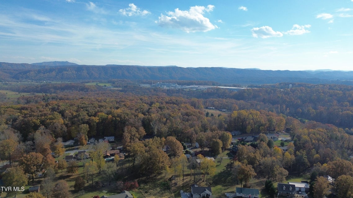 Photo #39: 220 Crockett Drive