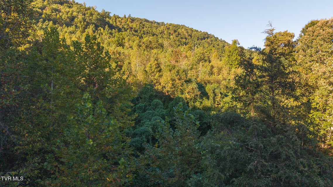 Photo #2: 0 Black Valley Road