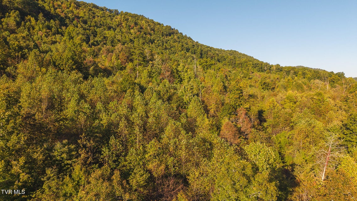 Photo #4: 0 Black Valley Road