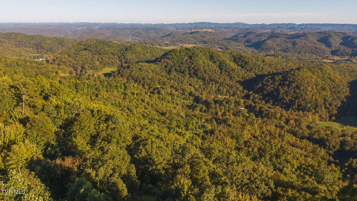 Photo #7: 0 Black Valley Road