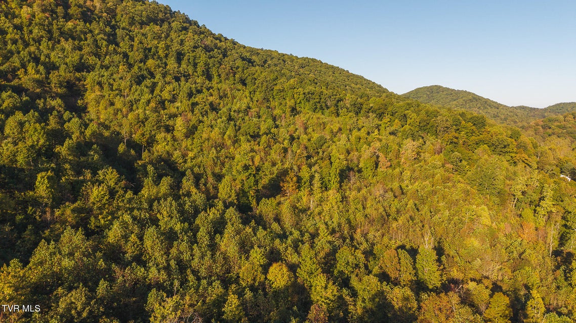 Photo #11: 0 Black Valley Road