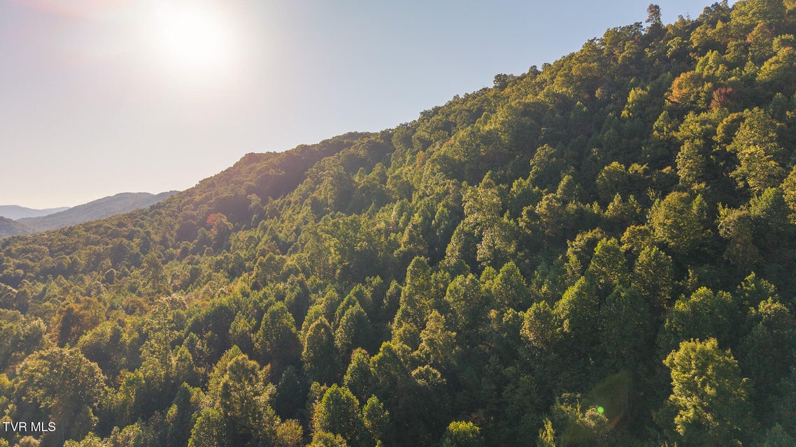 Photo #14: 0 Black Valley Road