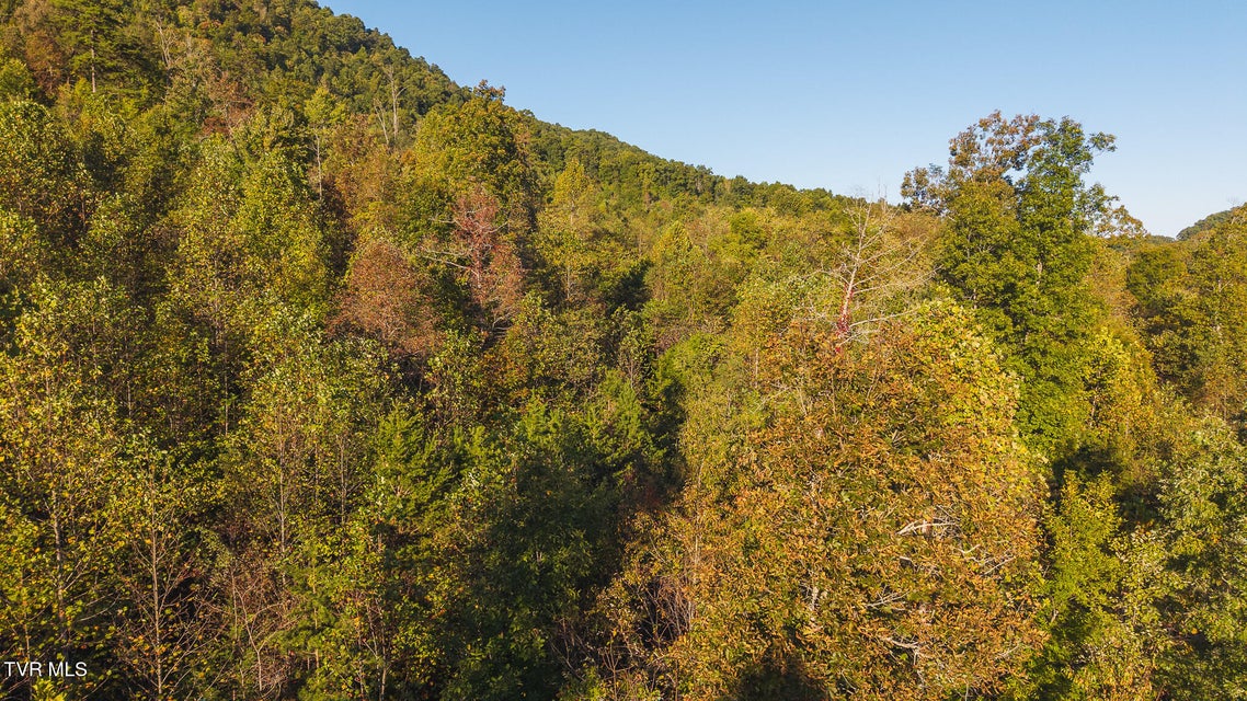 Photo #16: 0 Black Valley Road