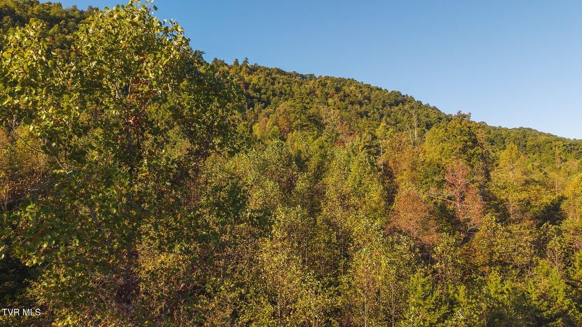 Photo #17: 0 Black Valley Road