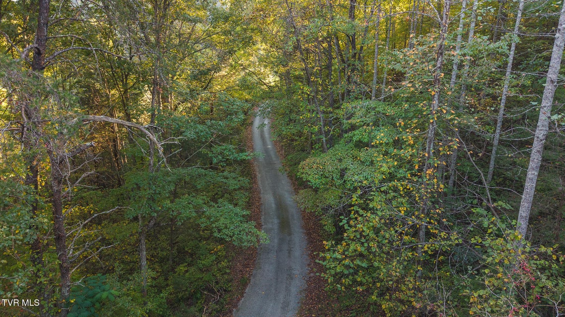 Photo #18: 0 Black Valley Road