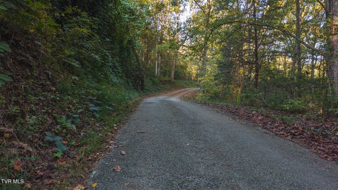 Photo #19: 0 Black Valley Road