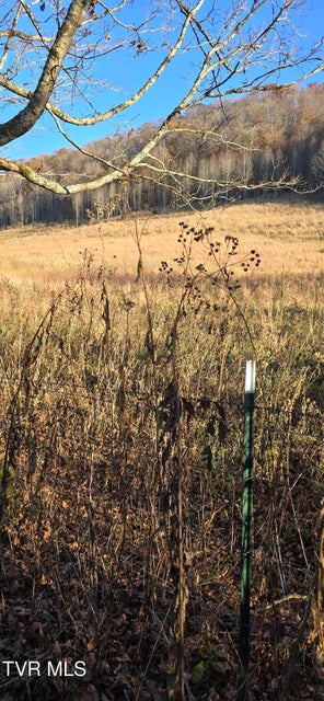 Photo #5: 2351 Line Road