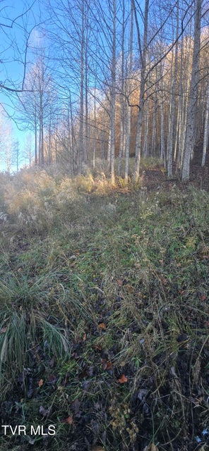 Photo #7: 2351 Line Road