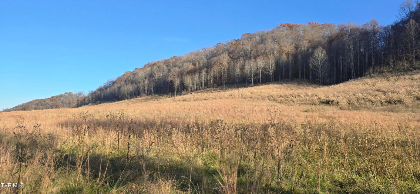 Photo #8: 2351 Line Road