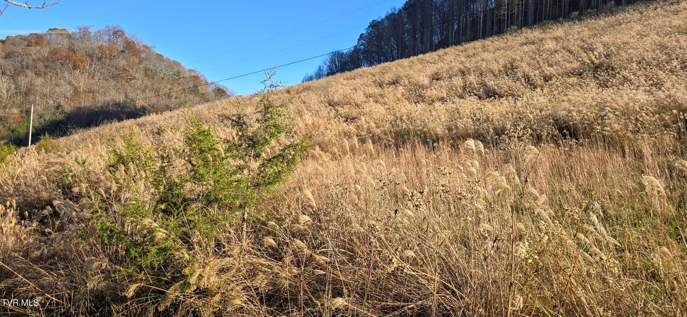 Photo #9: 2351 Line Road