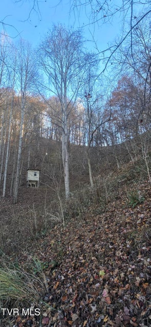 Photo #10: 2351 Line Road