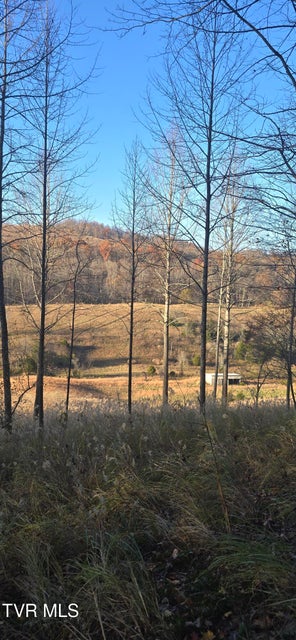 Photo #11: 2351 Line Road