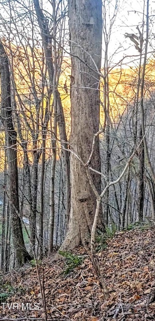 Photo #12: 2351 Line Road