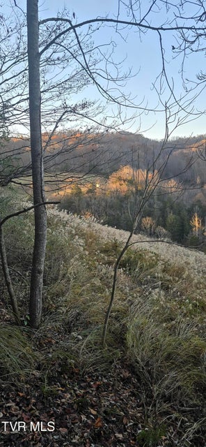 Photo #13: 2351 Line Road