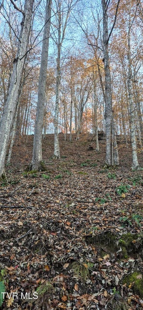 Photo #14: 2351 Line Road