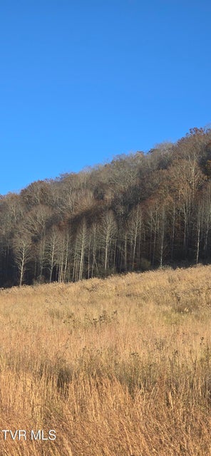 Photo #16: 2351 Line Road