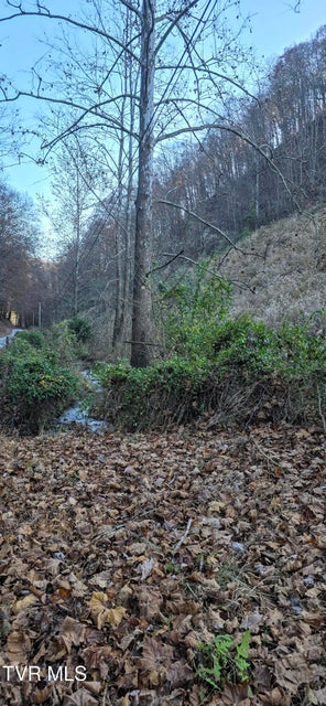 Photo #17: 2351 Line Road