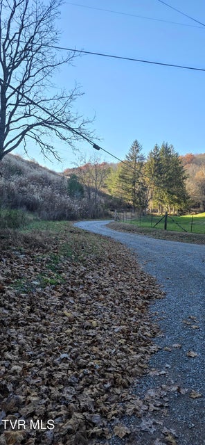 Photo #19: 2351 Line Road