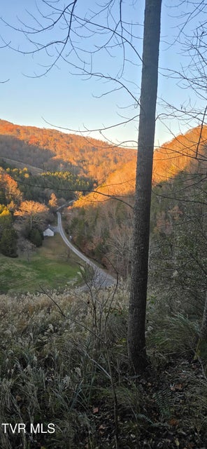 Photo #20: 2351 Line Road