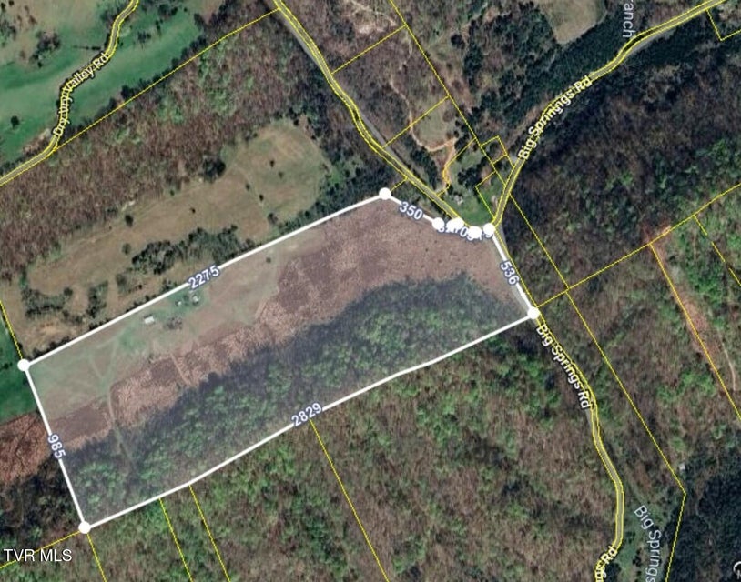 Photo #21: 2351 Line Road