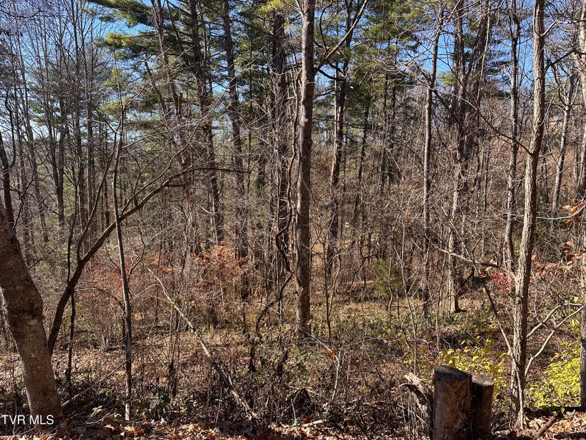 Photo #2: Tbd Longview Drive