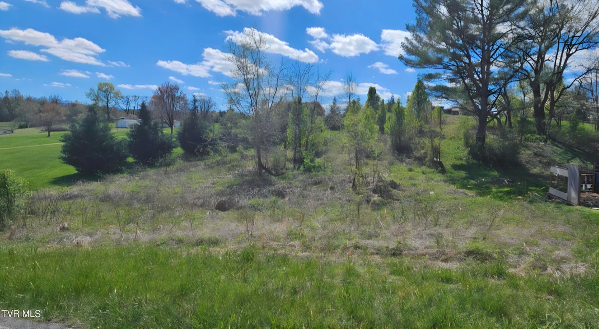 Photo #2: Tbd Honeysuckle Lane 