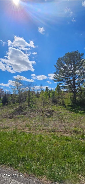 Photo #3: Tbd Honeysuckle Lane 