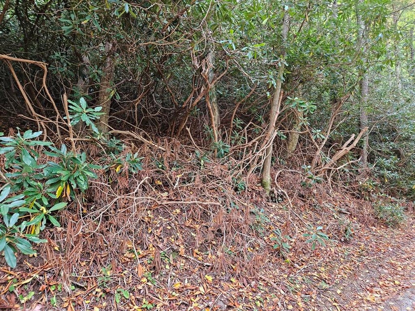 Photo #5: 14b Lot Pennington Branch Road