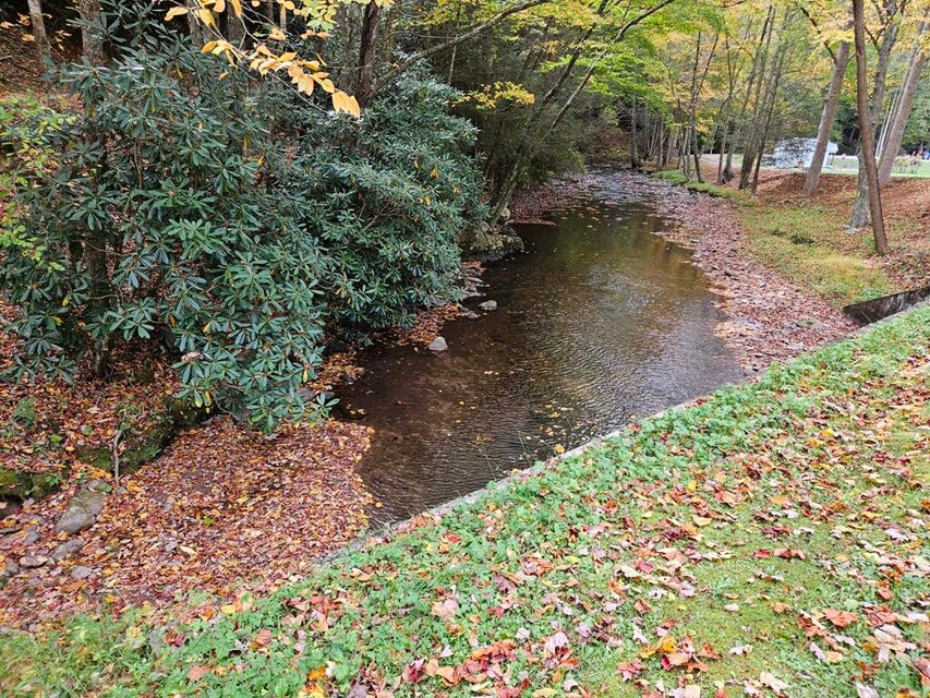 Photo #2: 14b Lot Pennington Branch Road