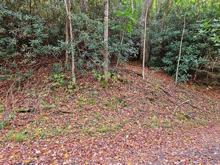 Photo #3: 14b Lot Pennington Branch Road